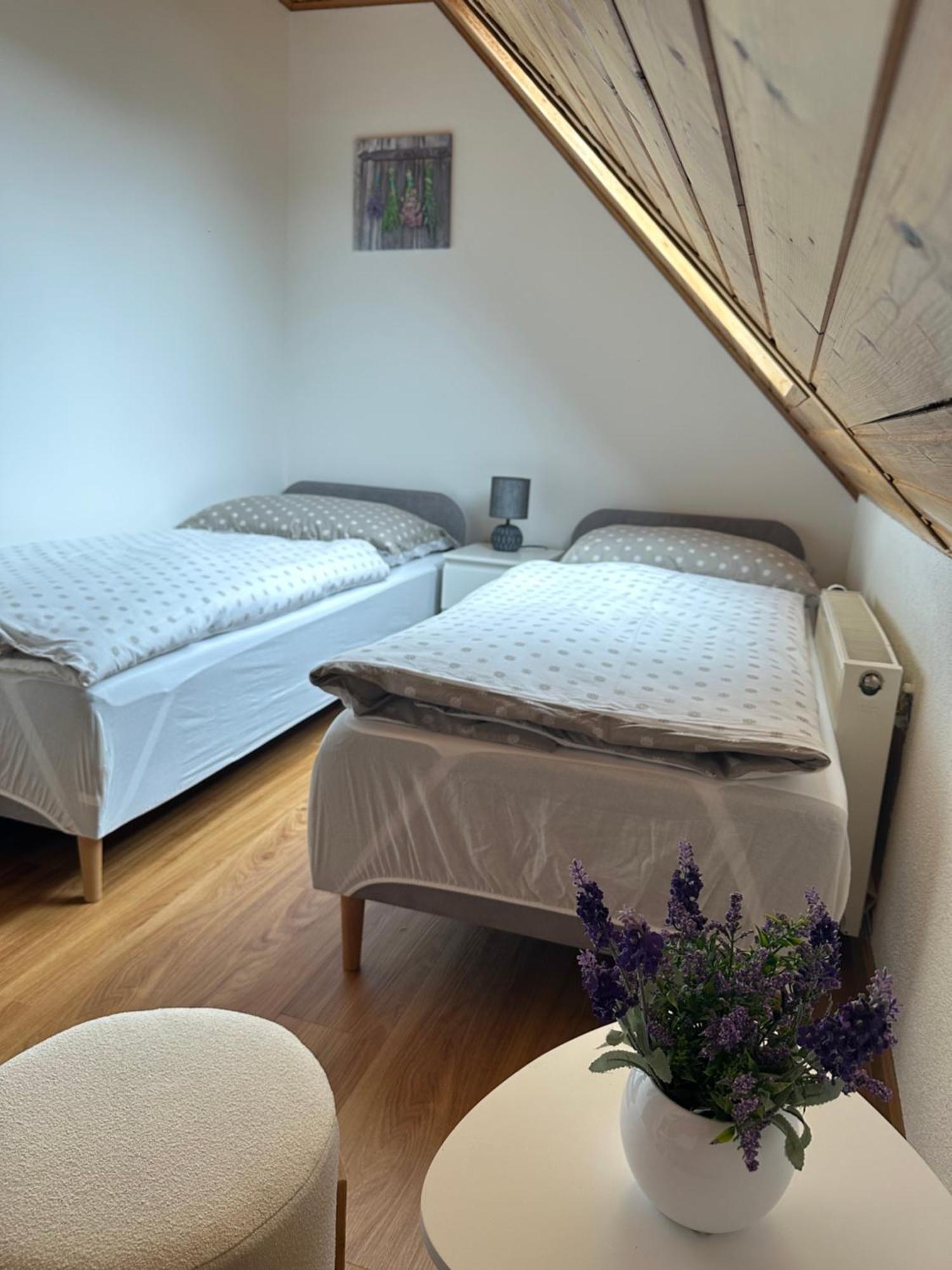 Apartman Jako U Babicky Tisa Bagian luar foto